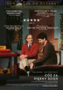 Cóż za piękny dzień / A Beautiful Day in the Neighborhood (2019) [720p] [BRRip] [XViD] [AC3-OzW] [Lektor PL]