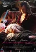 Tylko kochankowie przeżyją / Only Lovers Left Alive (2013) [480p] [BRRip] [XViD] [AC3-J25] [Lektor PL]