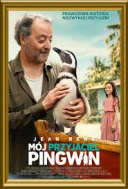 Mój przyjaciel pingwin / My Penguin Friend (2024) [PL] [480p] [WEB-DL] [XviD] [AC3-OzW] [Lektor PL]