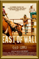 Na wschód od Wall / East of Wall (2025) [PL] [WEB-DL] [XviD-OzW] [Lektor PL]