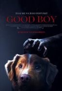 Good Boy (2025) [WEB-DL.XviD-AZQ] [Lektor PL]