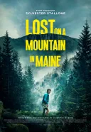 Lost on A Mountain in Maine (2024) [720p] [BRRip] [XviD] [AC3-OzW] [Lektor PL]