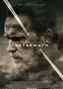 Po katastrofie / Aftermath (2017) [480p] [BRRip] [XviD] [AC3-LTN] [Lektor PL]