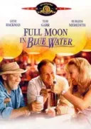 Pełnia księżyca w Blue Water / Full Moon in Blue Water (1988) [DVDRip] [XviD] [AC3] [Lektor PL]