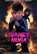 Ninja w kratkę 3 / Ternet Ninja 3 (2025) [WEB-DL.XviD-AZQ] [Dubbing PL]
