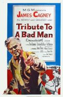 Opowieść o złym człowieku / Tribute to a Bad Man (1956) [DVDRip] [XviD] [Lektor PL]