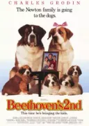 Beethoven 2 / Beethoven’s 2nd (1993) [DVDRip] [XviD] [AC3] [Lektor PL]