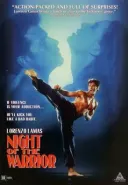 Noc wojownika / Night of the Warrior (1991) [TVRip] [XviD] [Lektor PL]