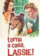 Lassie wróć / Lassie Come Home (1943) [480p] [WEB-DL] [XviD] [AC3-LTN] [Lektor PL]