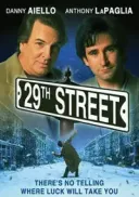Dwudziesta dziewiąta ulica / 29th Street (1991) [DVDRip] [XviD] [AC3] [custom] [Lektor PL]
