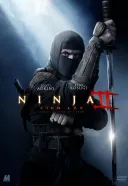 Ninja: Cień łzy / Ninja: Shadow of a Tear (2013) [720p] [BRRip] [XviD] [AC3-inTGrity] [Lektor PL]