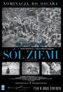 Sól ziemi / The Salt of the Earth (2014) [720p] [BDRip] [XviD] [AC3-ELiTE] [Lektor PL]