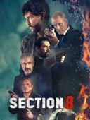 Section 8 / Section 8 (2022) [480p.BDRip.XviD] Lektor PL [DD2.0] M80