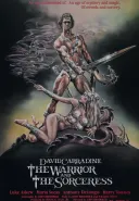 The Warrior and the Sorceress (1984) [BDRip] [DivX] [AC3] [Napisy PL]